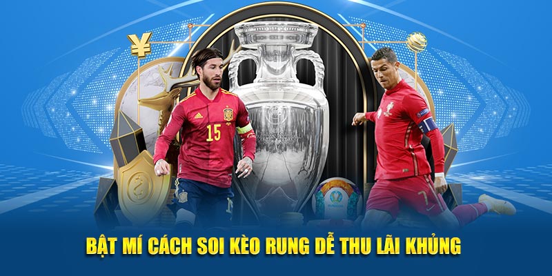 Bật mí cách soi kèo rung dễ thu lãi khủng 