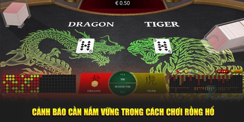 Cảnh báo cần nắm vững trong cách chơi rồng hổ