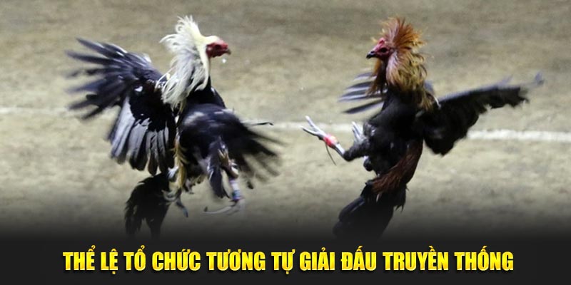 Thể lệ tổ chức tương tự giải đấu truyền thống 