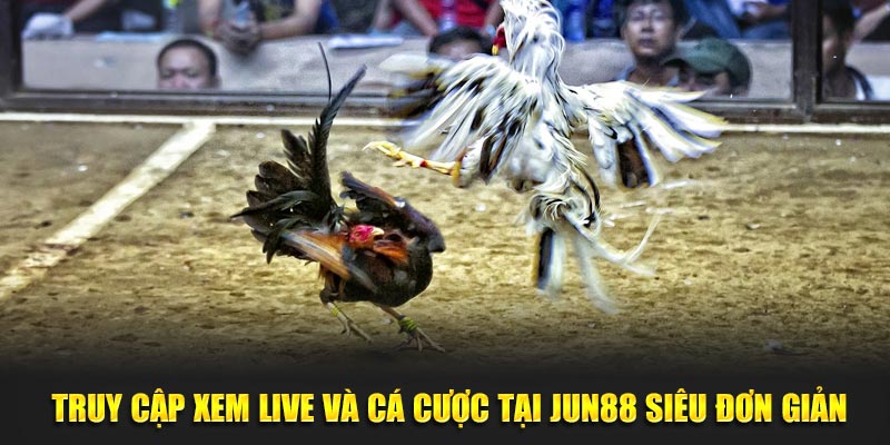 Truy cập xem live và cá cược tại Jun88 siêu đơn giản 