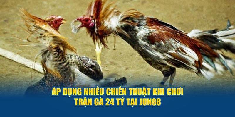 Áp dụng nhiều chiến thuật khi chơi trận gà 24 tỷ tại Jun88