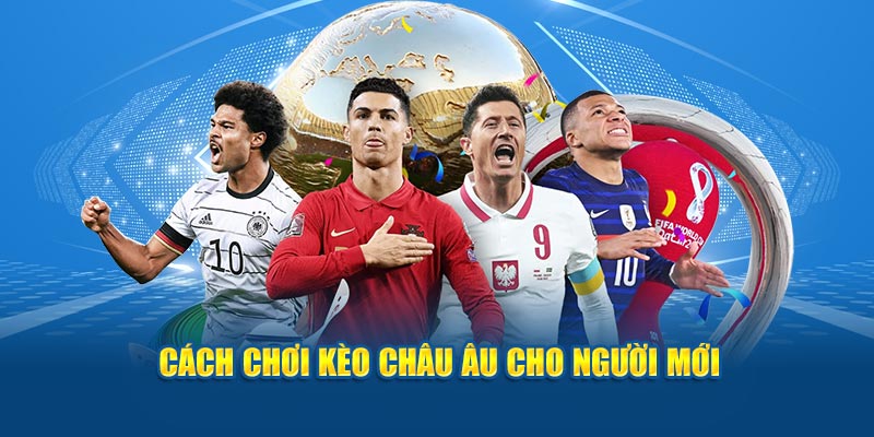 Cách trải nghiệm hiệu quả cho tân binh