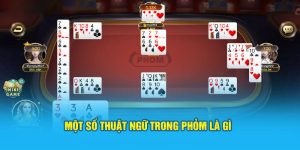 Một số thuật ngữ trong Phỏm là gì