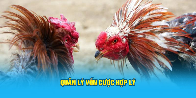 Quản lý vốn cược hợp lý