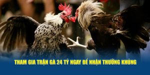 Tham gia trận gà 24 tỷ ngay để nhận thưởng khủng