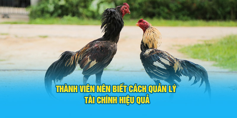 Thành viên nên biết cách quản lý tài chính hiệu quả