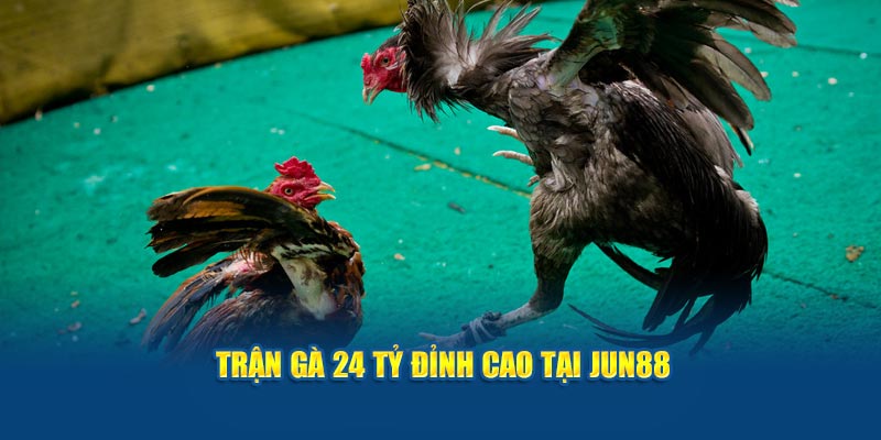 Trận gà 24 tỷ đỉnh cao tại Jun88